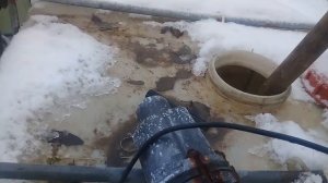 Поение телят зимой