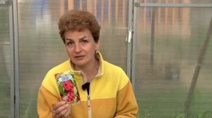 Самые неприхотливые цветы