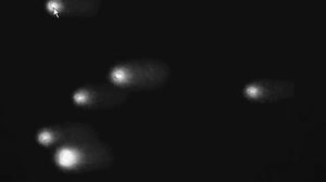 Comet Assay   Анализ ДНК Комет