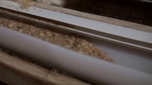 Клетка для перепелов несушек, часть 2, перепелки Техасская белая, садим в клетку