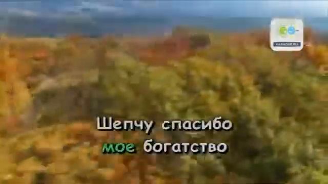 01 Вахтанг Кикабидзе Мои года, Моё богатство КАРАОКЕ.mp4.mp4