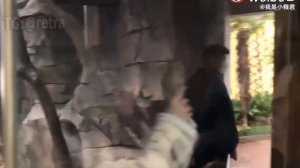 превращение (эволюция)