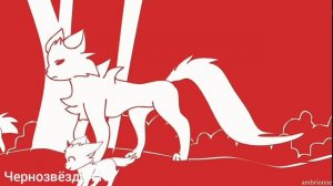 Коты воители. Клип Кленовница по заказу канала •Февраль кв•- Bim Bam Toi