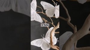 Танцуй тренды на разных скоростях 2021/новинки 2021г.