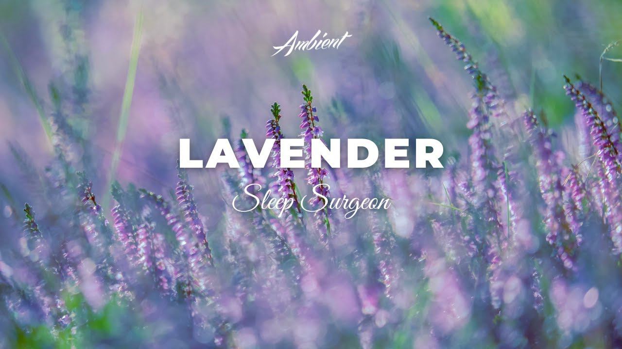 Sleep Surgeon - Lavender [relaxing piano ambient] смотреть онлайн