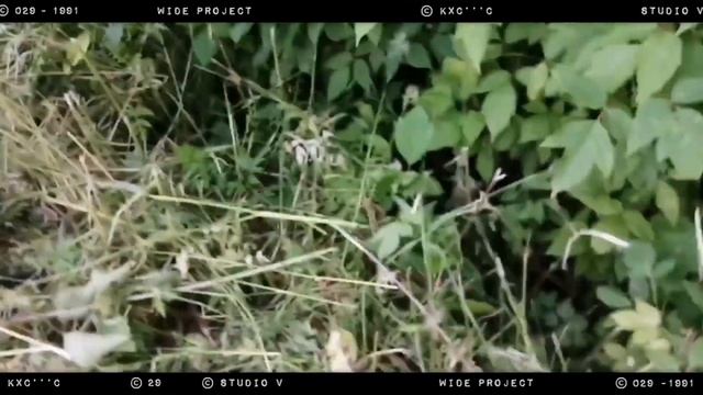 #рандонавтика #randonautica Куда нас завело это приложение?! ? Мы потерялись ☠️ Нашли следы ? смотреть онлайн