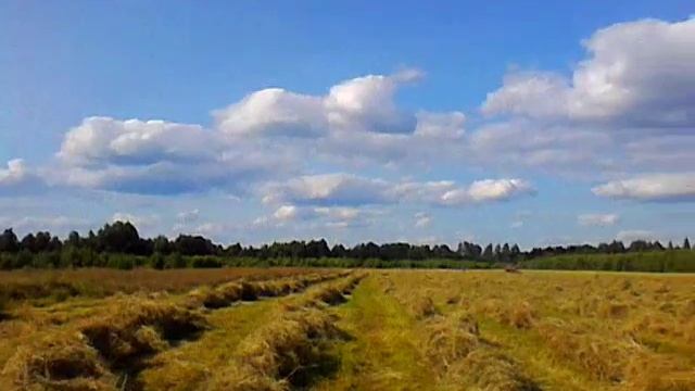 мтз и гвк сенокос смотреть онлайн