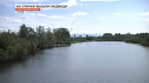 Внимание! В тайге активизировались медведи