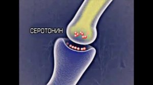 Антидепрессанты: как это устроено.