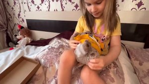 Распаковка плюшевой игрушки - КОТА БАСИКА от компании Буди Баса (Budi Basa Collection Басики)