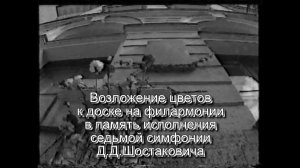 возлож_цвет_филармонии