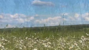 Владимир Ивашов-Русское поле.mp4