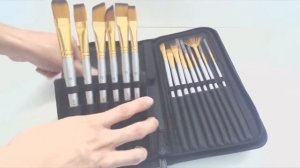 MyArtScape 15 Piece Paintbrush Set Review