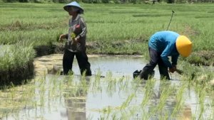 Shimoliy Korea Haqida Juda G'alati 20 Ta Fakt