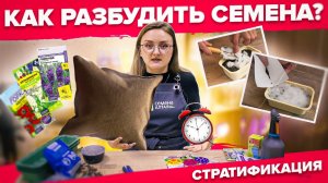 СТРАТИФИКАЦИЯ семян. Как сеять лаванду и землянику? Почему семена не всходят?