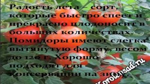 Лучшие виды томатов для теплиц Урала.