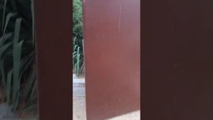 Автоматика для распашных ворот Came Ferni 1000