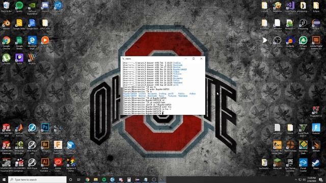 CSE 2231 (Software 2): BugsWorld Guide смотреть онлайн