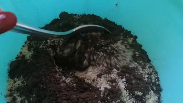 Очень вкусные конфеты - пирожное за 10 минут смотреть онлайн