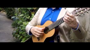TELEMANN - Vivace TWV 40:22 / Carlos Roldan (soprano guitar)