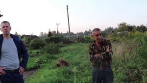 Как спилить дерево в нужном направлении возле дома. Пошаговая инструкция
