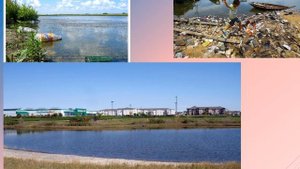 Окружающая среда и влияние её на здоровье