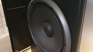 Pioneer cs-901 speaker