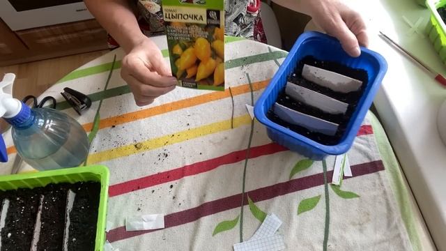 Сею томаты без заморочек. Какие сорта томатов посеяла. смотреть онлайн