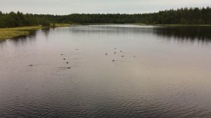 На озере.webm