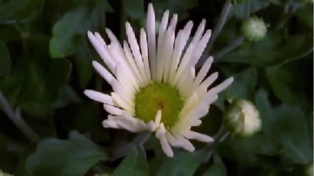 Очистка! Квантовый подход. смотреть онлайн