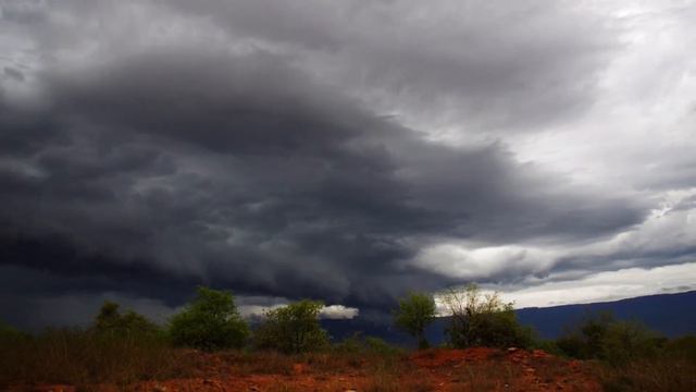 Arnold W. Shim(심왕찬) - 실로암 смотреть онлайн