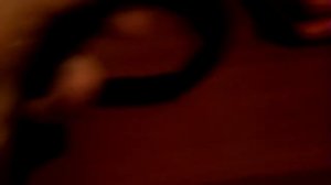 Как сделать поводок и ошейник своими руками для собаки