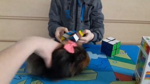 Magic Cube развивает моторику и логику