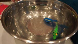 FIX Price (новинки) летающая бабочка и плавающие рыбки. Распаковка.