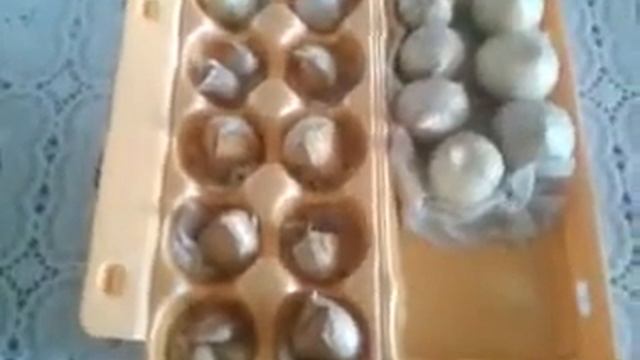 Как подготовить чеснок к  посадке ( сорт РОКАМБОЛЬ)