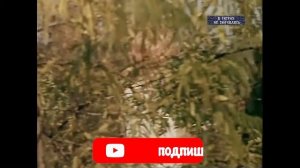 Татьяна Дасковская - Негаданная встреча, х/ф Факир на час, 1971