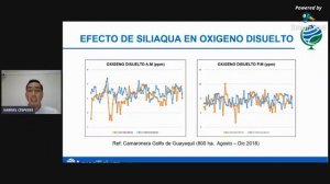 Agrosilicium- Impacto del silicio y el magnesio en la productividad de sistemas acuícolas.