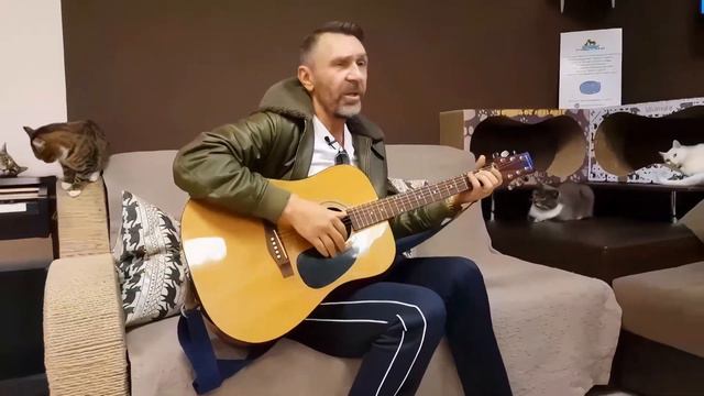 Сергей Шнуров  — Только ты рыба моей мечты