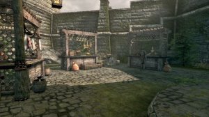 Skyrim SE Builds - The Soldier of Fortune - Remastered Build