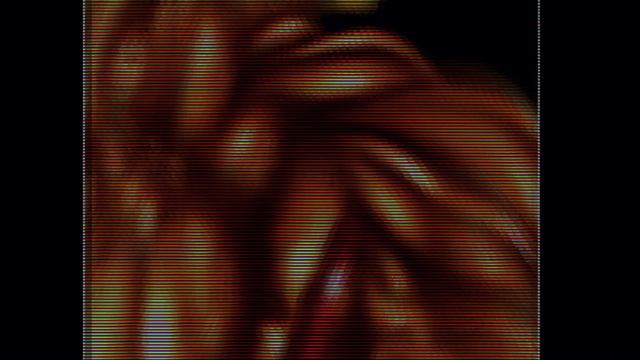 Fascination - Daisy (1995) demoscene demo 2160p60 retro PC
