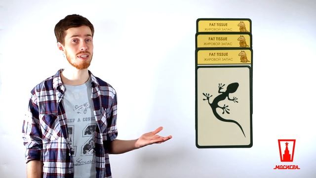 Эволюция. Обзор настольной игры смотреть онлайн