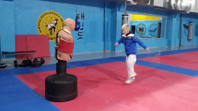 Тхеквондо Каменское смотреть онлайн