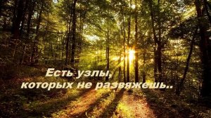 Есть узлы, которых не развяжешь..