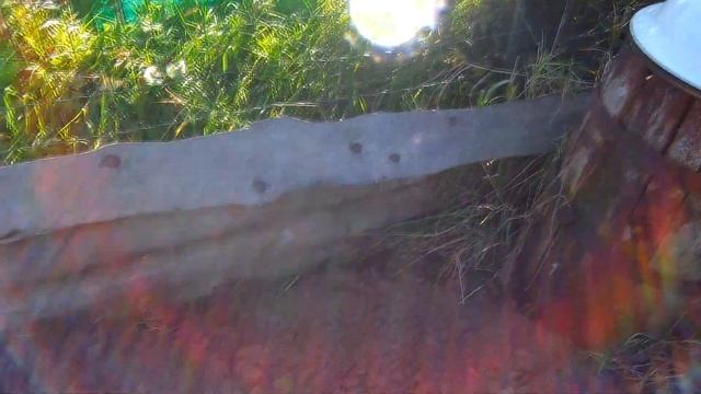 4 октября 2020г малина-осенняя посадка дача под Архангельском смотреть онлайн