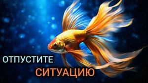 День 40. По течению вариантов. |Практический курс трансерфинга реальности за 78 дней.