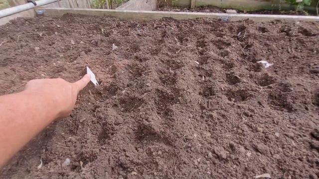 Garlic Planting Guide for the 2024 Harvest! + Planting other fall/winter crops. Zone 6b смотреть онлайн