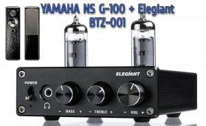 Колонки Yamaha NS G100 + Усилитель ELEGIANT BTZ-001