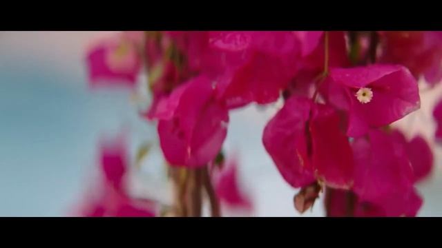 Константин Меладзе, София Тарасова - Почему я?