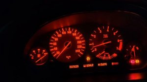 Ислам Итляшев - лиса 🦊