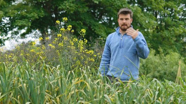 Экскурсия По Огороду с Обильной Пермакультурой | Садоводство Без Копания В Мае